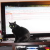 2009-12-31 Comment se faire remarqer_l.jpg